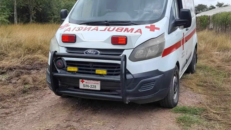 FOTO: Luis Ramírez.