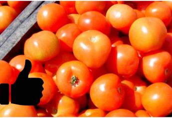 Comer tomate crudo todos los días puede prevenir estas enfermedades