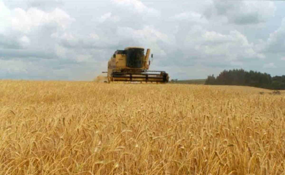 FOTO: Esthela García.