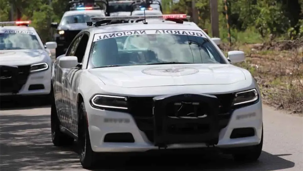 Siete toneladas de químicos y droga se aseguraron en un operativo en Badiraguato