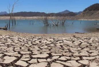 Ganaderos de Mazatlán reportan sequía en los «ojos» de agua en la zona serrana
