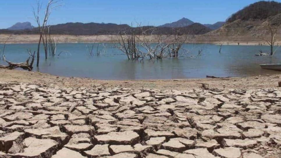 Sequía en Sinaloa: ¿para cuánto tiempo alcanza el agua de las presas para el consumo humano?  