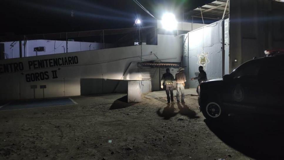 Policías detienen a sujeto acusado de robar ganado en Choix