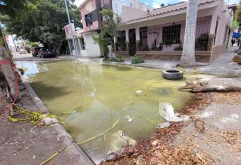 Vecinos de Las Arboledas en Los Mochis cumplen 5 meses viviendo entre fétidas aguas negras 