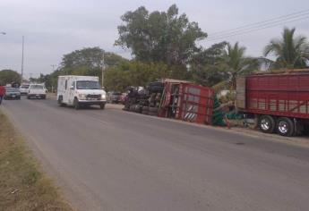 Camión cargado con chiles vuelca en la entrada de Villa Unión