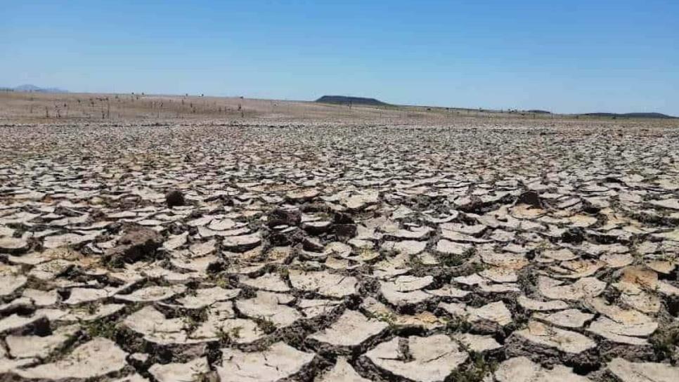 Sequía amenaza al municipio de Choix, ya hay 35 comunidades sin agua