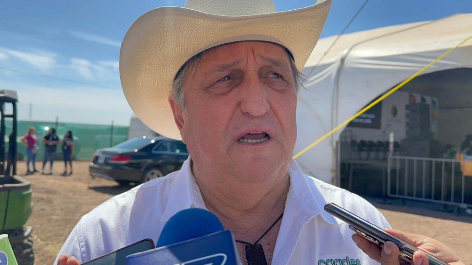 Esquema de comercialización de granos de Sinaloa se define el 19 de marzo