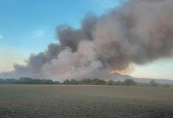 Fuerte incendio arrasa con mil 500 pacas de pastura en Angostura