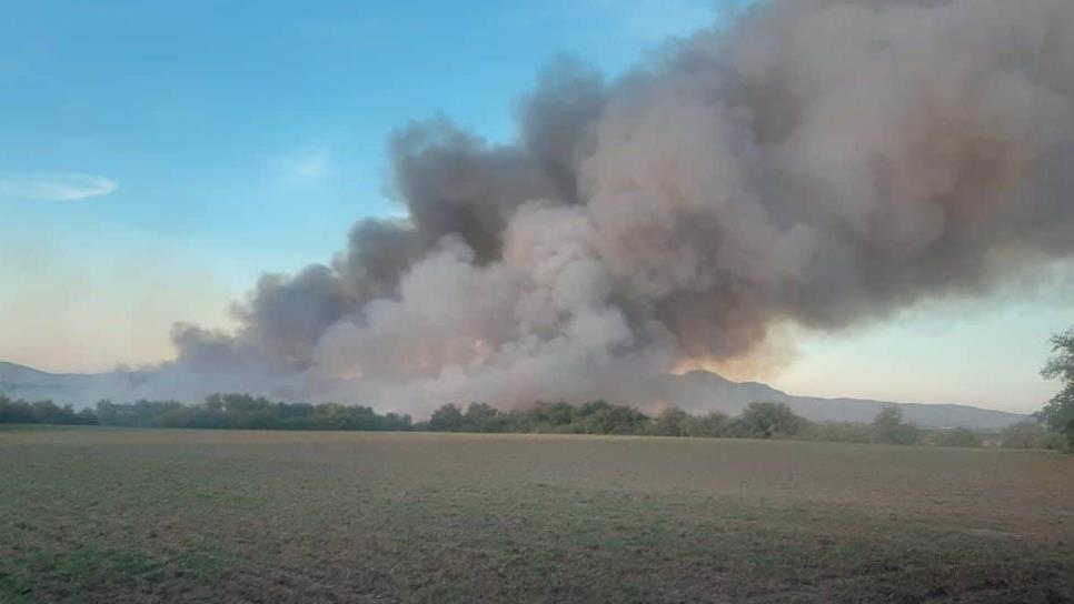 Fuerte incendio arrasa con mil 500 pacas de pastura en Angostura