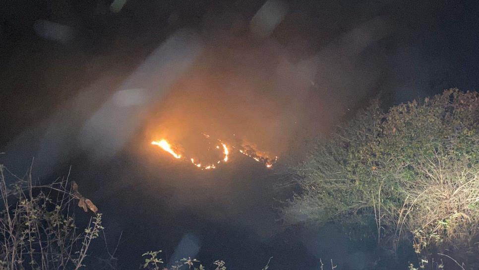 Incendio de maleza pone en riesgo a los habitantes de Copala, Concordia