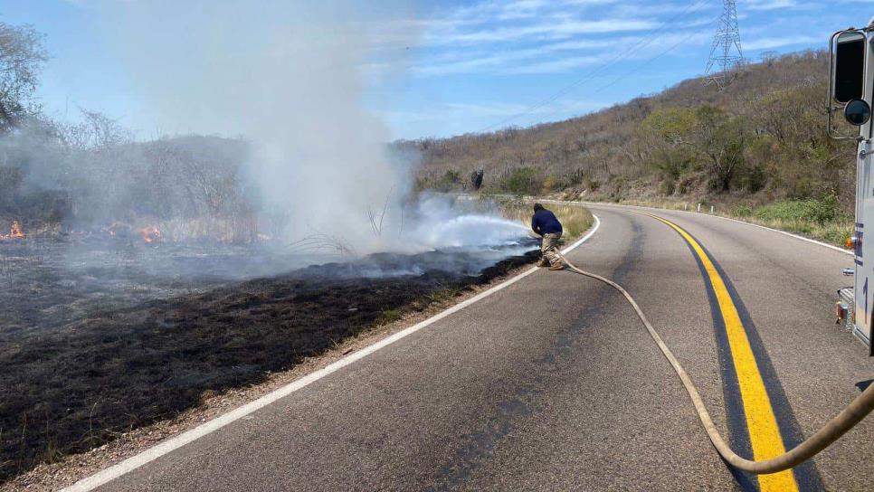 Controlan incendio en al sierra de Concordia causado por el sereno nocturno