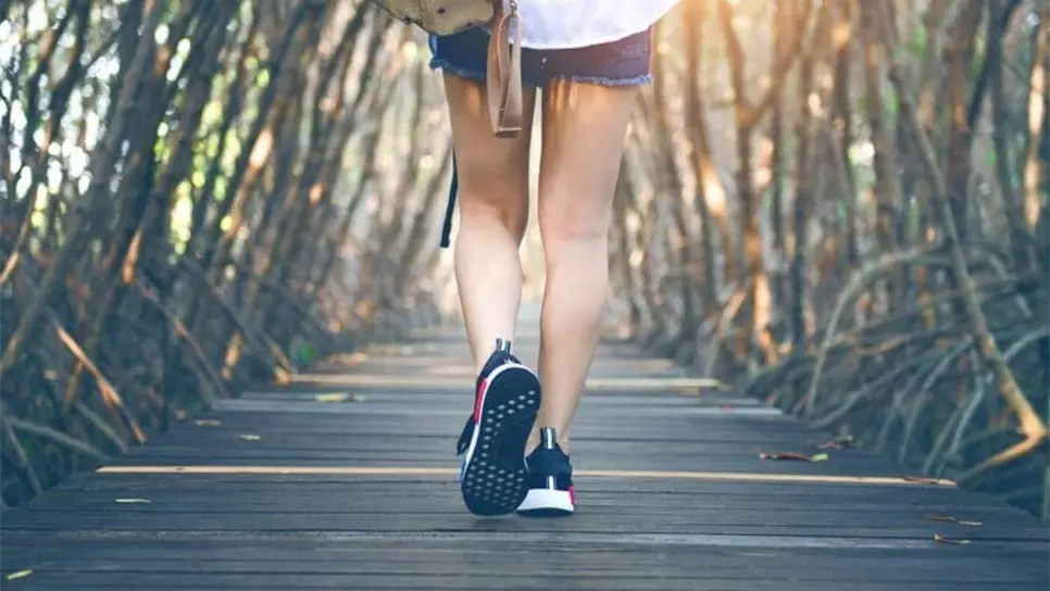 FOTO: Cortesía/FreePik.