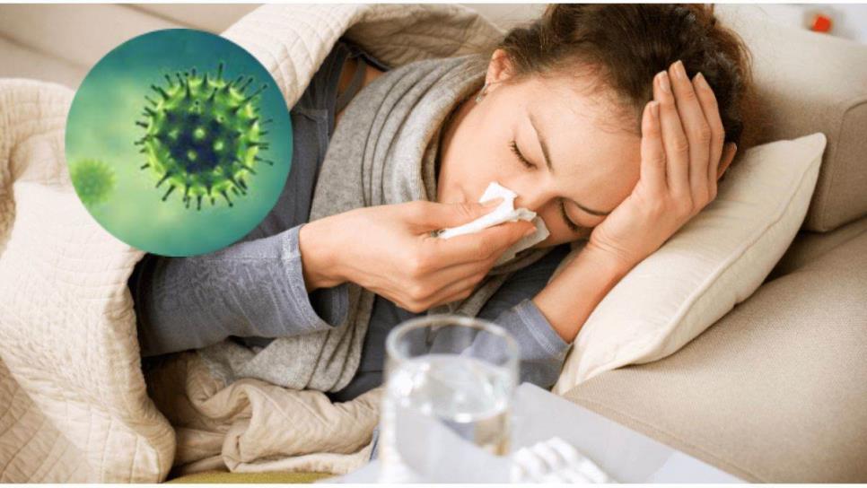 Gripe solar: conoce los síntomas ¿cómo se cura?  