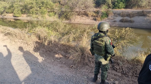 Imagen Placeholder Imagen Placeholder