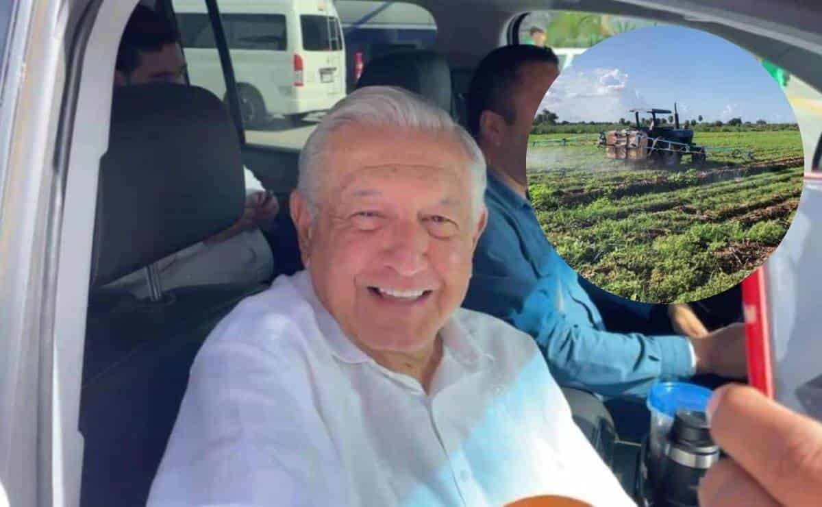 AMLO apoyará la comercialización de granos en Sinaloa