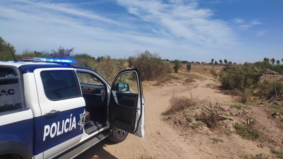 Rastreadoras localizan restos humanos en Guasave  