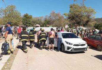 Enjambre de abejas deja al menos 17 lesionados que visitaban panteón en Mazatlán 