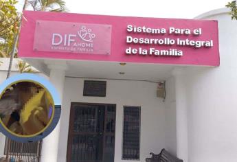 DIF Ahome busca a padres de bebé abandonada