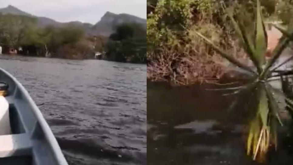 Así se inunda el viejo Santa María al llenarse el vaso de la presa en el sur de Sinaloa | VIDEO