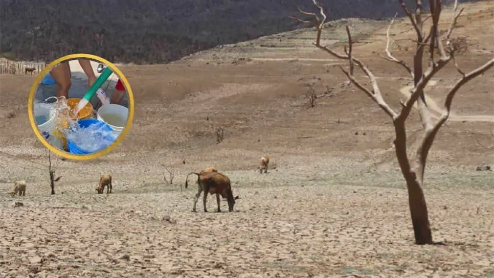 Las presas registran muy bajos niveles y la poca agua que hay ya se reparte en pipas a las comunidades.