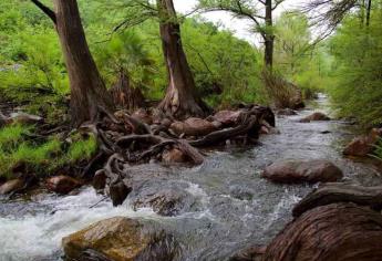 Este río en Álamos, Sonora es una buena opción para viajar esta Semana Santa