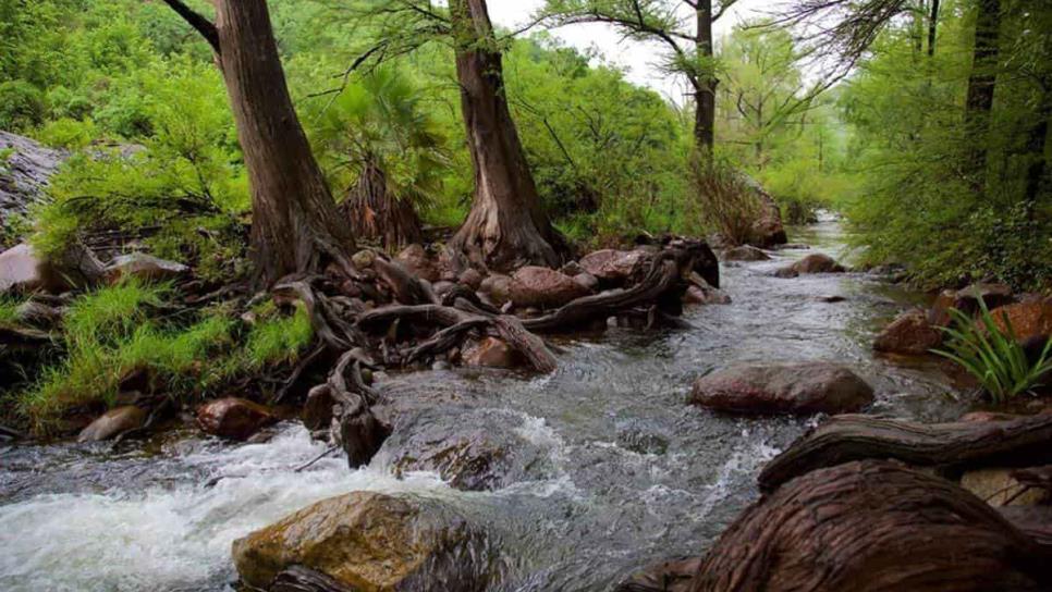 Este río en Álamos, Sonora es una buena opción para viajar esta Semana Santa