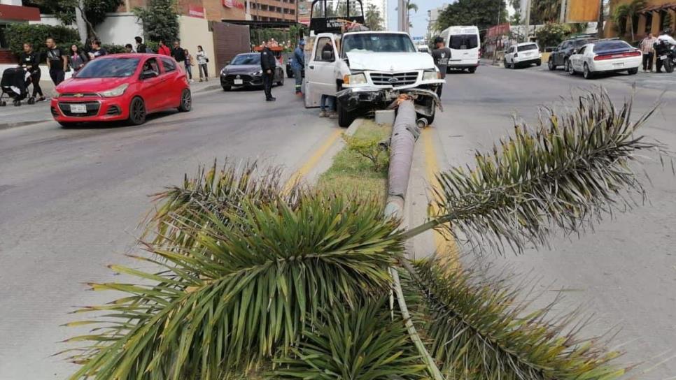 Camioneta choca contra una palmera en la Zona Dorada de Mazatlán