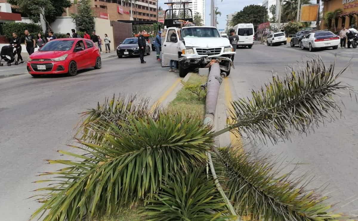 Camioneta choca contra una palmera en la Zona Dorada de Mazatlán