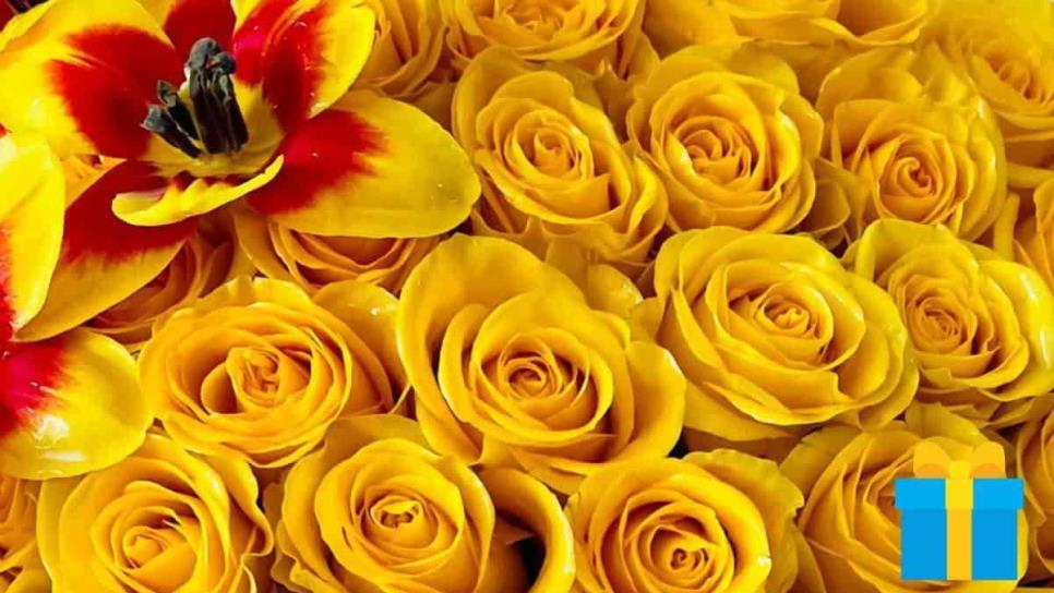 ¿Por qué se regalan flores amarillas el 21 de marzo en Mexico?