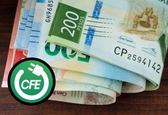 CFE: Desconecta este aparato en las noches; es el que más gasta luz