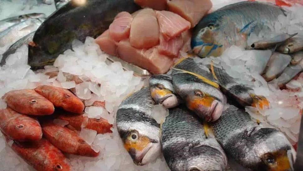 Profeco: este precio debes pagar por el atún y otros pescados esta Cuaresma