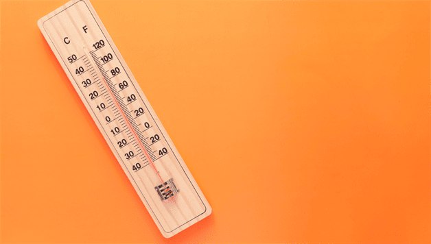 Imagen Placeholder Imagen Placeholder