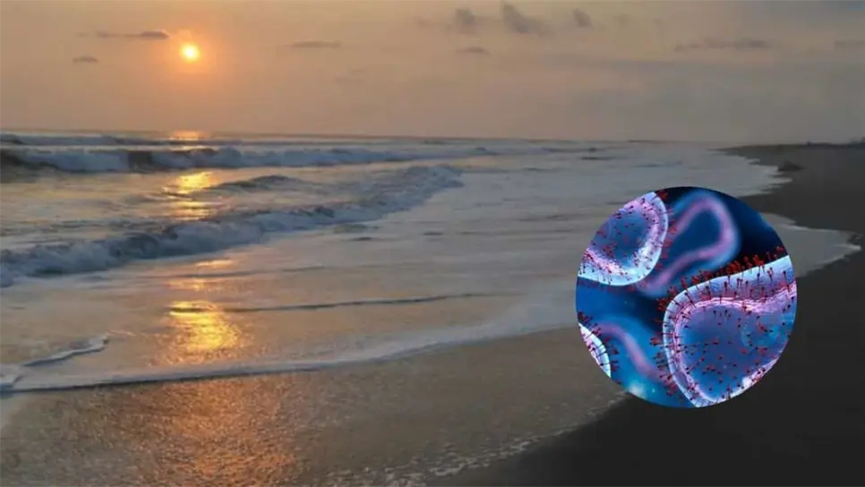 Cofepris advierte que esta playa de Mazatlán no es apta para bañarse. | FOTO: Temática.