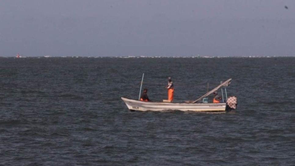Pese a temporada de veda, Ahome es el epicentro de la pesca furtiva