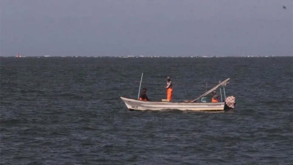 Pese a temporada de veda, Ahome es el epicentro de la pesca furtiva