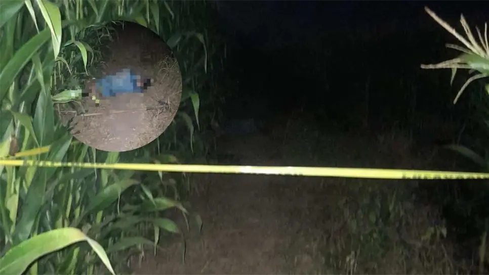 Hallan a hombre sin vida en unas milpas en Guasave. | FOTO: Luz Noticias.