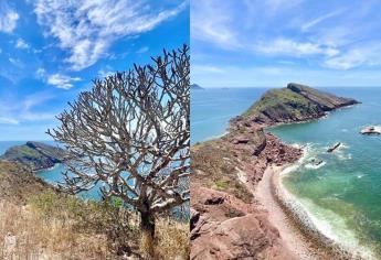 Así se ve Mazatlán desde la cima de la Isla Venados que puedes visitar esta Semana Santa