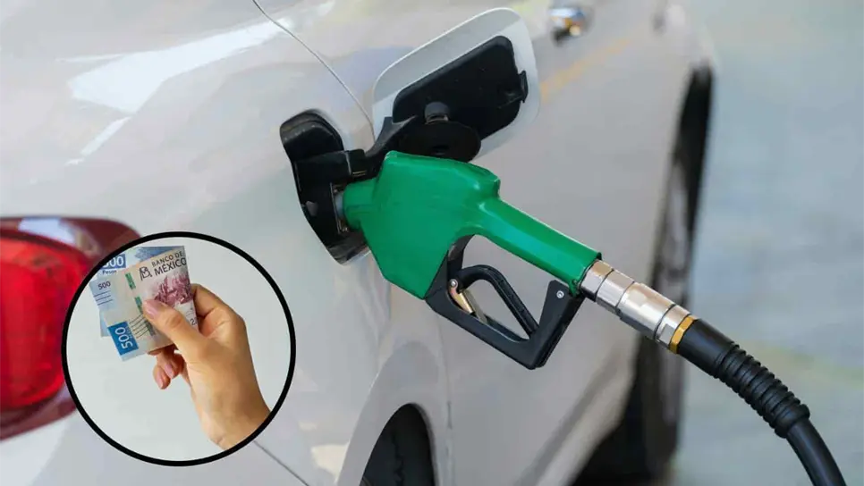 Foto: Freepik/Unsplash