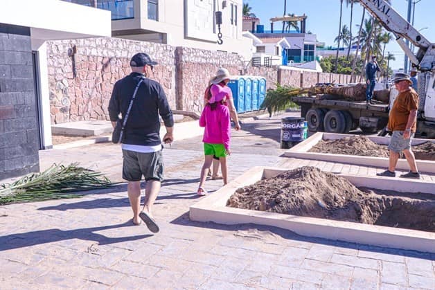 Imagen Placeholder Imagen Placeholder