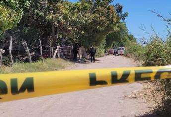 Localizan a bebé recién nacido enterrado muerto en Batamote, Guasave