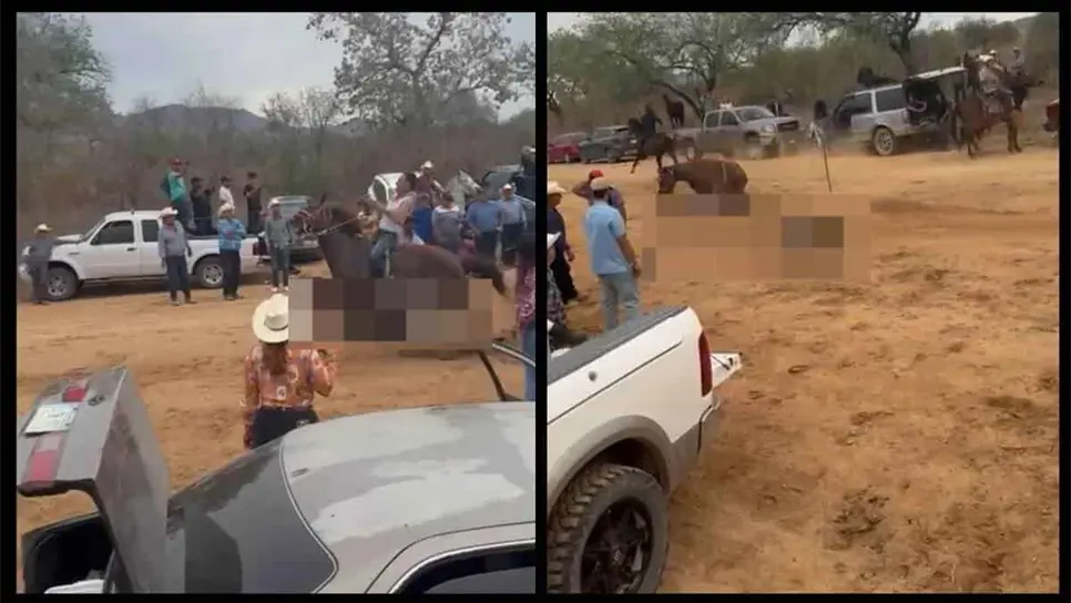 Muere hombre atropellado por un caballo de carreras en Choix, el jinete está grave