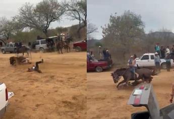 Muere jinete del caballo que atropelló a un hombre en unas tlacuachadas en Choix