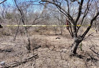 Rastreadoras localizan restos humanos en la zona del campo El Diez