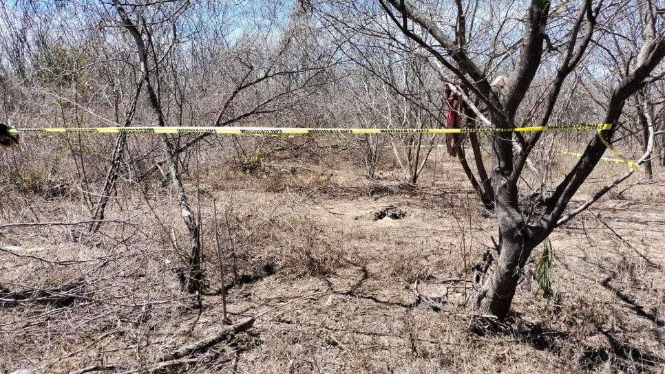 Rastreadoras localizan restos humanos en la zona del campo El Diez