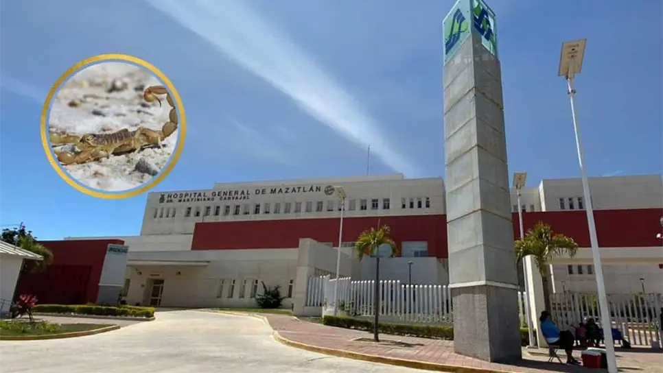 Muere niño de un año y 6 meses tras picarle un alacrán en Mazatlán. | FOTO: Temática.