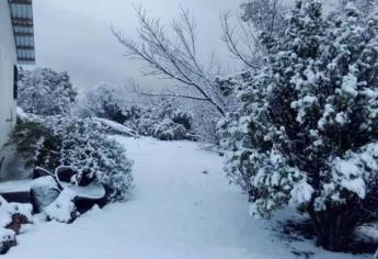 Yécora se cubre de nieve; así se mira la sierra de Sonora | VIDEO