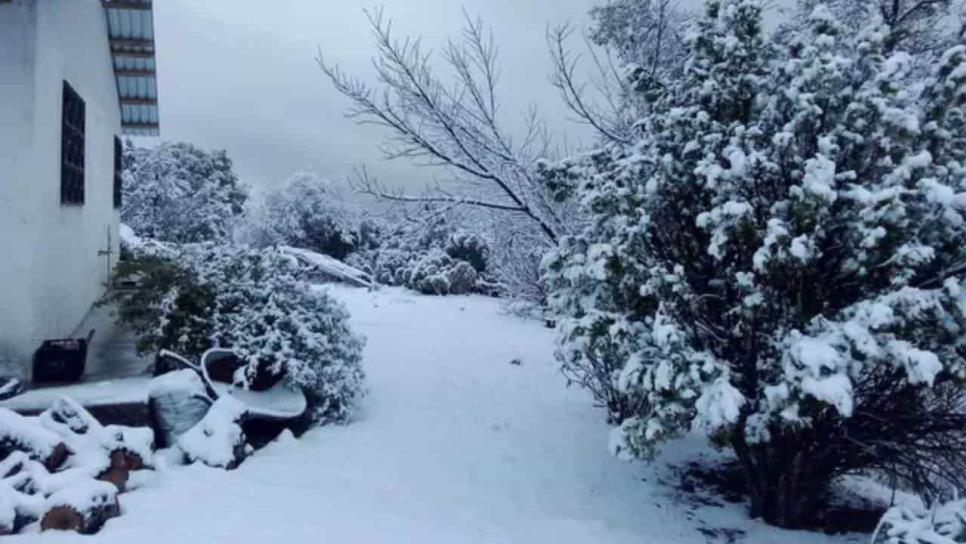 Yécora se cubre de nieve; así se mira la sierra de Sonora | VIDEO