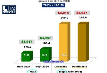 Maíz en 3 mil 917 pesos por tonelada