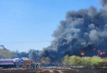 Incendio en una papera en Los Mochis moviliza a bomberos y cuerpos de auxilio