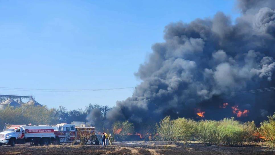Incendio en una papera en Los Mochis moviliza a bomberos y cuerpos de auxilio